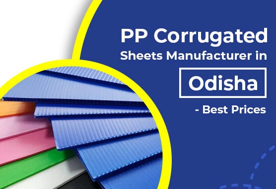 Understanding PP Sheets: Applications, Benefits, & More - Hex Plastic